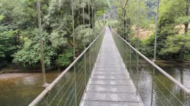 Güney Avrupa 'daki son somon nehirlerinden biri olan Puente Laneo yakınlarındaki Narcea Nehri, İspanya' nın Asturias belediyesi.