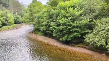 Güney Avrupa 'daki son somon nehirlerinden biri olan Puente Laneo yakınlarındaki Narcea Nehri, İspanya' nın Asturias belediyesi.