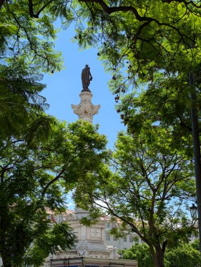 Dom Pedro IV sculpture seen between the trees, Rossio square, Lisbon, Portugal