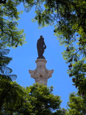 Dom Pedro IV sculpture seen between the trees, Rossio square, Lisbon, Portugal