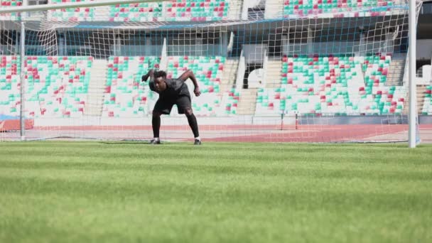 Futbol Kalecisi Topu Stadyumda Yakalıyor Oyun Konsepti — Stok video