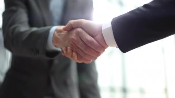 Two Diverse Professional Business Men Executive Leaders Shaking Hands Office — Video Stock