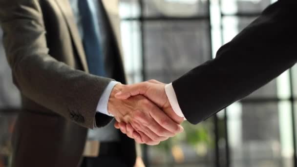 欢迎洽谈业务 商人握手 欢迎握手 企业问候之手 — 图库视频影像