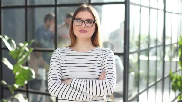 Geschäftsfrau Mit Ihren Mitarbeitern Hintergrund Büro — Stockvideo