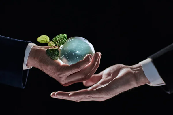 球の中で育つ植物 黒を背景にエココンセプト — ストック写真