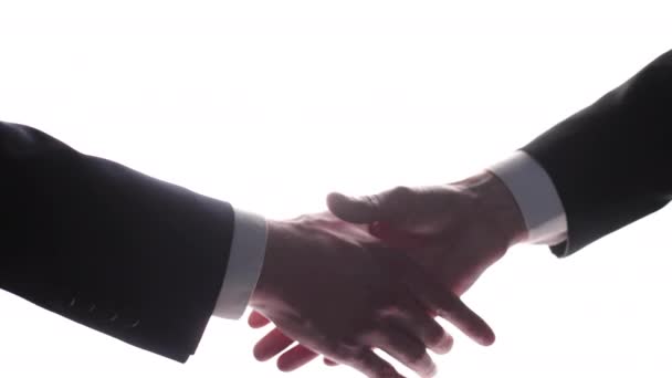 Бізнес Рукостискання Рука Тримає Білому Тлі — стокове відео