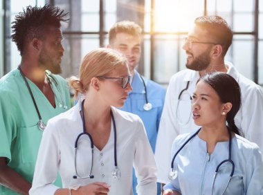 Çok uluslu bir grup doktorun portresi.