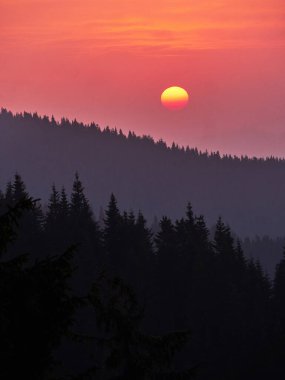 Kızıl gün batımı güneşi, kozalaklı siluet, Karpatlar, Ukrayna