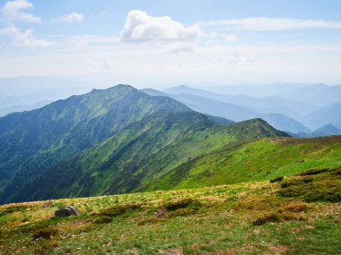 Yeşil sıradağlar, güneşli bir gün, bulutlu bir hava. Karpatlar, Ukrayna