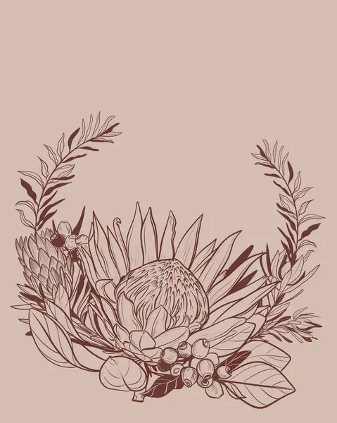  Bej rengi kompozisyon El bej arka planda kahverengi mürekkeple protea çiçeğinin doğrusal çizimi. Çiçek izleri, volta ve kumaş için mükemmel.