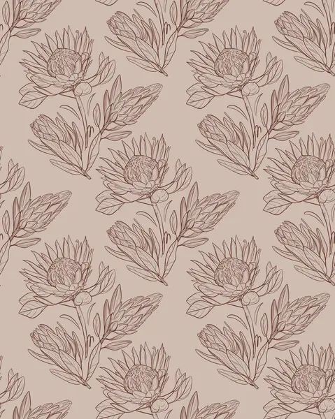  Bej rengi kompozisyon El bej arka planda kahverengi mürekkeple protea çiçeğinin doğrusal çizimi. Çiçek izleri, volta ve kumaş için mükemmel.