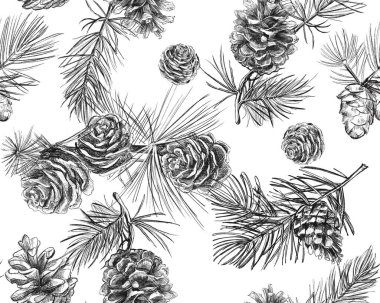   Kusursuz desenli Kalem Tasviri Ormanı Çam Kozalakları ve Dalları. Çizimler, doku, ince çizgiler ve doğal formlara odaklı botanik çizim geleneklerinden esinlenilmiştir.