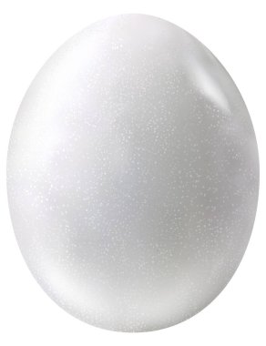 Üç boyutlu gerçekçilik tarzında fotorealistik güvercin yumurtası. Beyaz arka planda izole edilmiş tavuk yumurtasının vektör çizimi