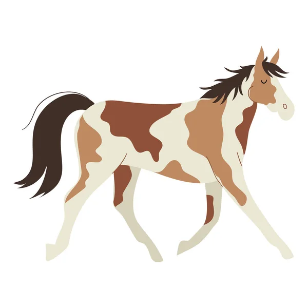 Cute Strony Wyciągnięte Dziki Koń Mustang Płaskim Stylu Izolowane Wektor — Wektor stockowy