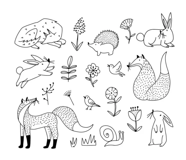 Hand Drawn Set Line Design Forest Animals Plants Isolated Vector — Stock Vector