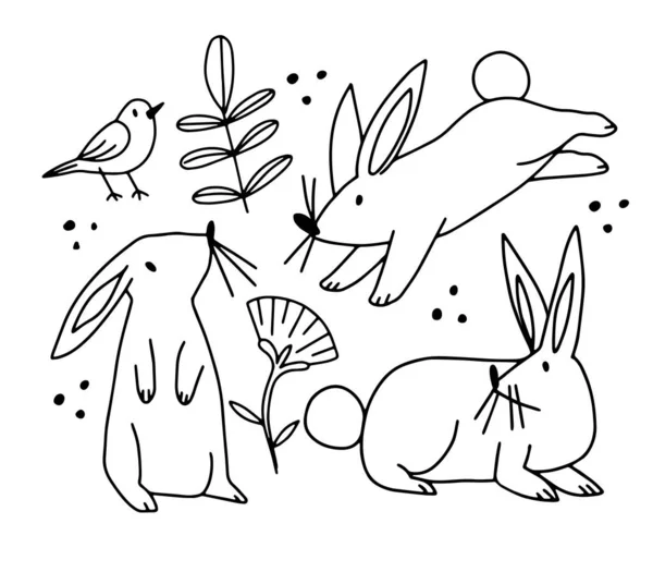 Hand Drawn Line Design Set Contour Rabbits Isolated Vector Illustration — Stock Vector