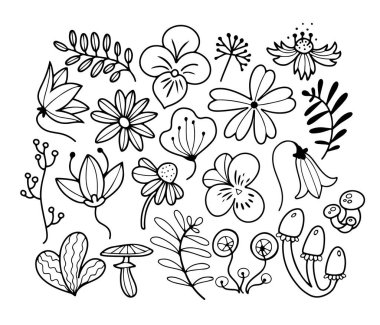El çizimi, bahar çiçekleri ve izole edilmiş vektör çizimi.