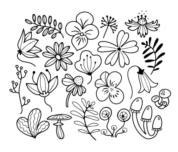 Mão Desenhado Bonito Doodle Linha Arte Set Com Flores Primavera —  Vetores de Stock