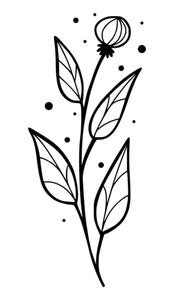 Kézzel Rajzolt Doodle Bogáncs Gyógynövény Elszigetelt Vektor Illusztráció Fehér Háttér — Stock Vector