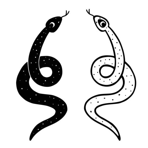 Dibujó Mano Dos Serpientes Ocultas Colores Opuestos Diseño Del Arte — Vector de stock
