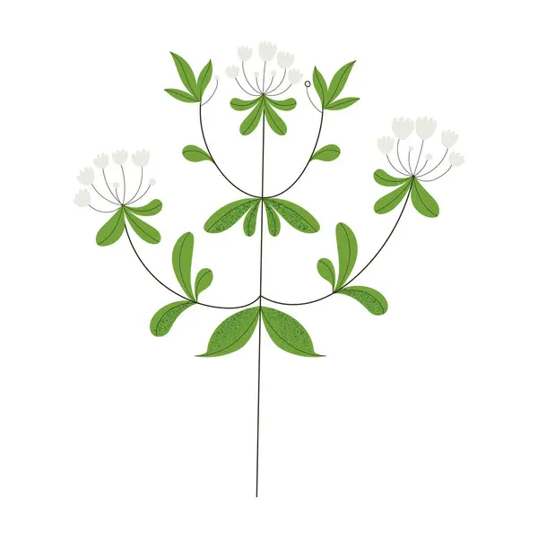 Kézzel Rajzolt Aranyos Gyógynövény Elszigetelt Vektor Illusztráció Lapos Stílusban — Stock Vector