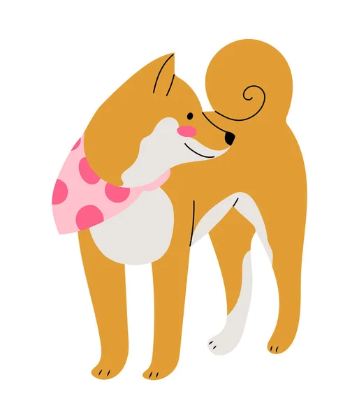 带有可爱粉色围巾的Shiba Inu狗 平面设计中的孤立向量图解 — 图库矢量图片