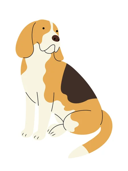 Симпатичные Собаки Породы Бигл Сидя Изолированные Векторные Иллюстрации Плоском Стиле — стоковый вектор