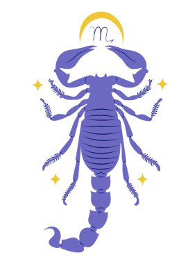 Scorpio, Astroloji 'de sekizinci burç. Düz tasarımda izole vektör illüstrasyonu
