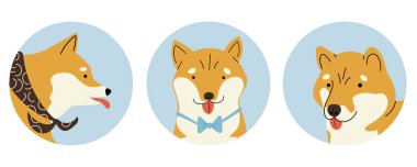 Siba Inu köpekleriyle üç daire şeklinde ikonlar, sevimli hayvan avatarları. Beyaz vektör illüstrasyonunda izole