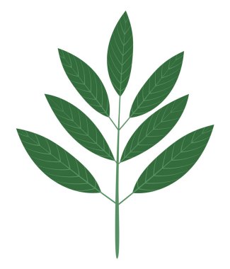 Yapraklı basit bir dal, düz tasarımda el çizimi izole edilmiş vektör çizimi