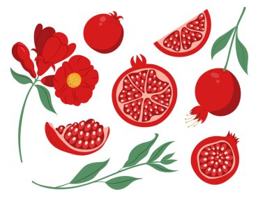 Nar meyveleri, dilimler, yapraklar ve çiçekle dizayn edilmiş düz tasarım, izole vektör çizimleri