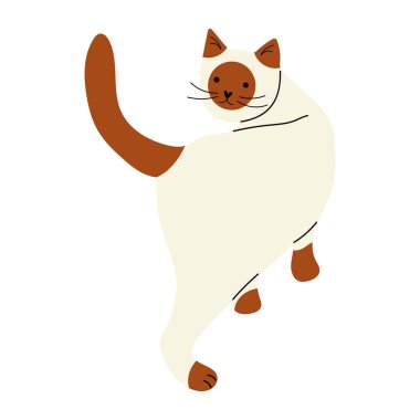 Şirin siyam kedisi etrafında dönüyor, düz bir şekilde el çizimi evcil hayvan vektör çizimi.