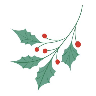 El yapımı Amerikan çoban püskülü bitkisi, dekor ve çelenk için Noel yeşili. Beyaz vektör illüstrasyonunda izole