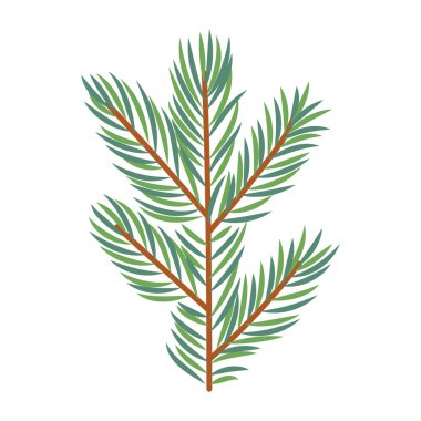 Fidan dalı, iğneli orman ağacı dalı. El çizimi vektör çizimi, beyaz arkaplanda izole
