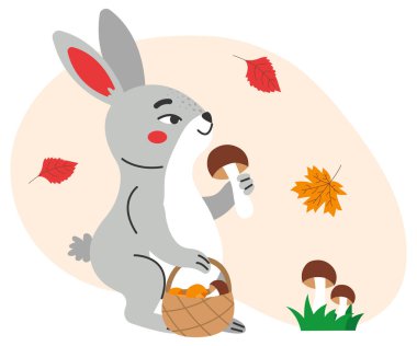 The hare is picking mushrooms. Flat vector illustration