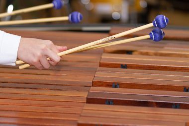 Musician hands with four drumsticks playing a marimba
