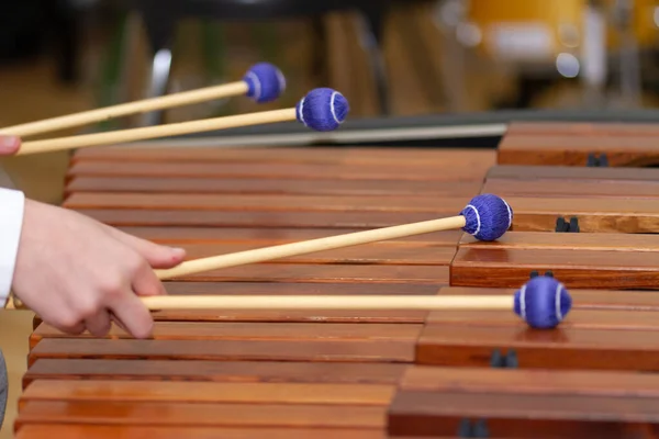 Musician hands with four drumsticks playing a marimba