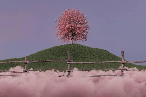 Renderização Árvore Única Atrás Cerca Madeira Nuvens Rosa — Fotografia de Stock