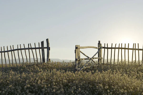 Redare Gardului Din Lemn Pajiștilor Verzi Lumina Soarelui Seară — Fotografie, imagine de stoc