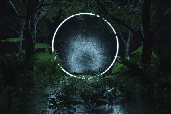 Weergave Van Blauw Lichter Cirkel Vorm Omgeven Door Jungle Planten — Stockfoto