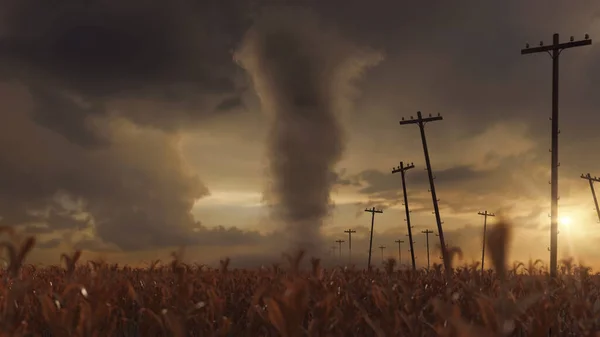Відтворення Торнадо Сухе Кукурудзяне Поле Поруч Корисними Полюсами Стокова Картинка