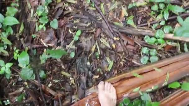 赤脚在热带雨林中行走 — 图库视频影像