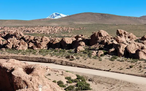 Bolivya dağlık çölünde yol