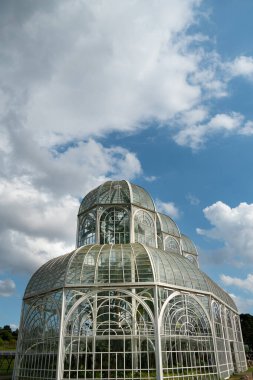 Curitiba Botanik Bahçesi 'ndeki Atlantik ormanlarından gelen bitki serası. 