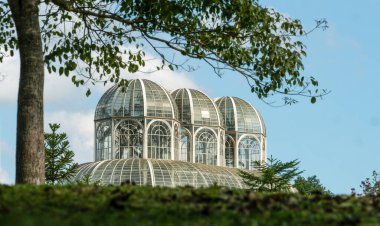 Brezilya 'nın Paran eyaletinin Curitiba Botanik Bahçesi' ndeki tropik bitki serasının kısmi görüntüsü.