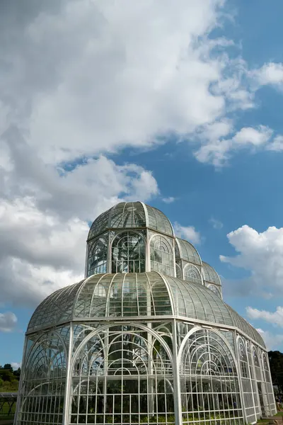 Curitiba Botanik Bahçesi 'ndeki Atlantik ormanlarından gelen bitki serası. 