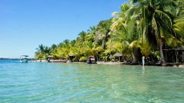 Bocas del Toro Plajı, Panama, Karayip Denizi