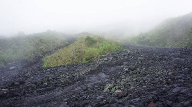 Kosta Rika 'daki Arenal yanardağının yamaçlarında volkanik toprak