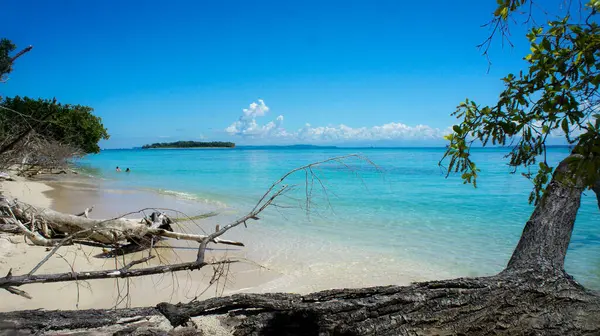 stock image Bocas del Toro Beach, Panama, Caribbean Sea