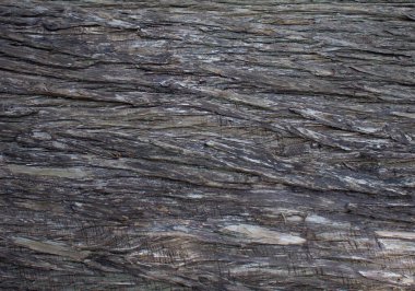 Arkaplan, ağaç gövdesi dokusu
